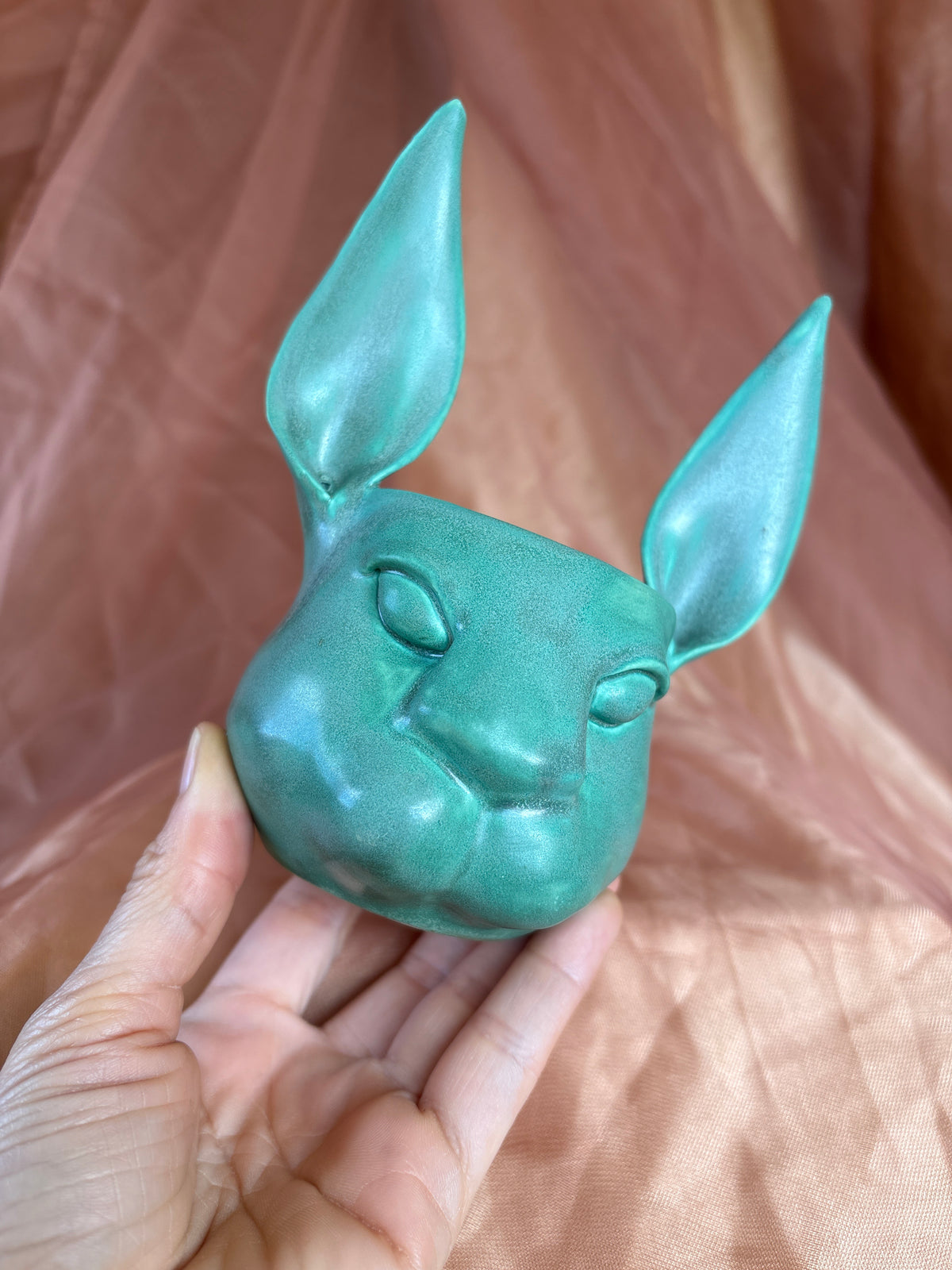 MINI Hare (1)