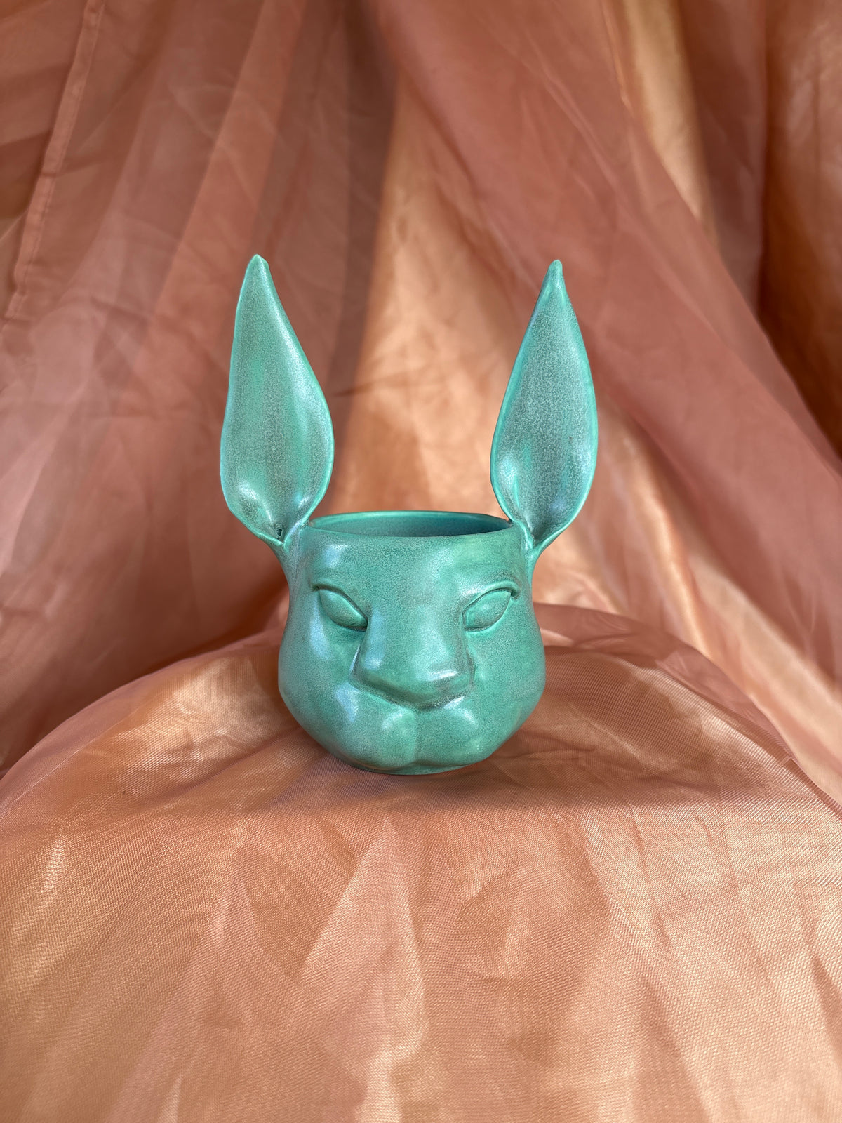 MINI Hare (1)
