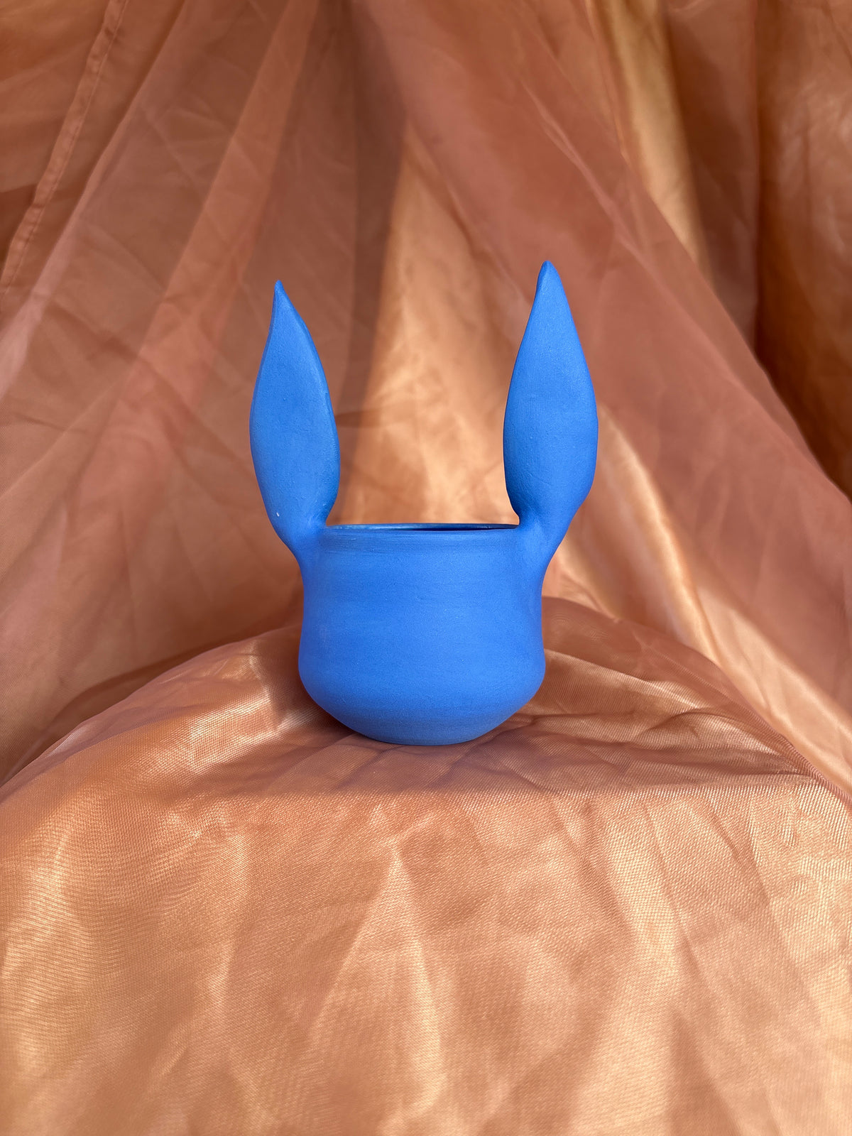 MINI Hare (4)