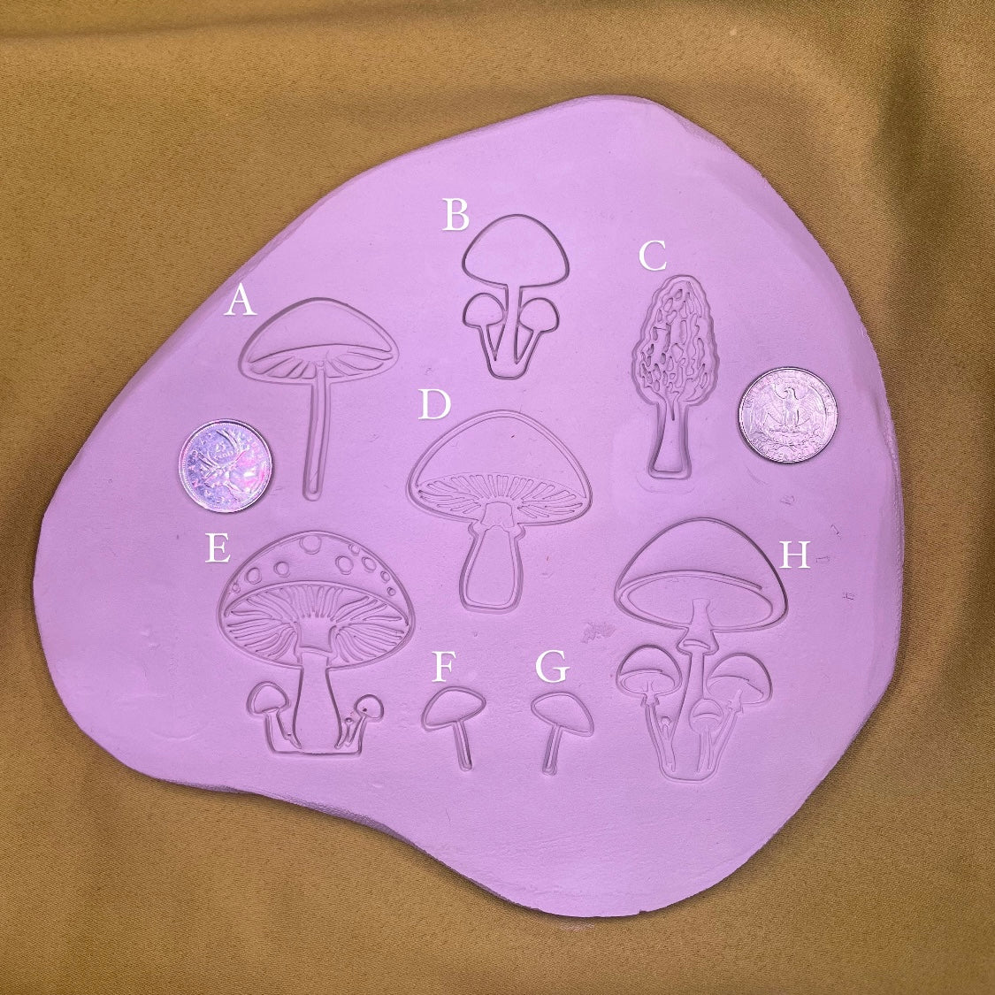 Mushroom Medley Pack